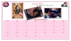 calendrier-xavbox-2013_Page_02